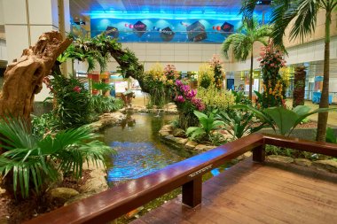 Singapur - yaklaşık Ağustos, 2016: Singapur Changi Havaalanı içinde. Singapur Changi Havaalanı Singapore için birincil sivil Havaalanı ve Güneydoğu Asya'nın en büyük ulaşım merkezleri biridir.