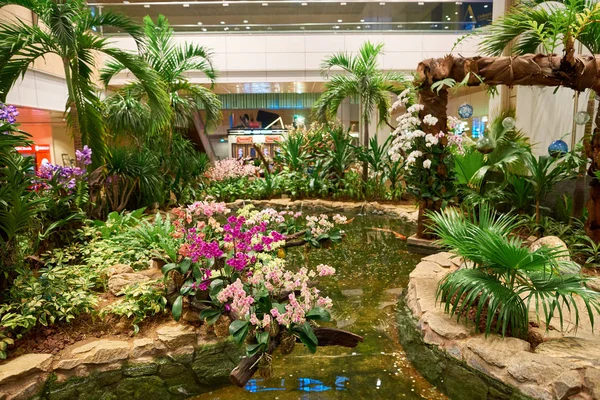 Singapur Circa Agosto 2016 Dentro Del Aeropuerto Singapur Changi Aeropuerto —  Fotos de Stock