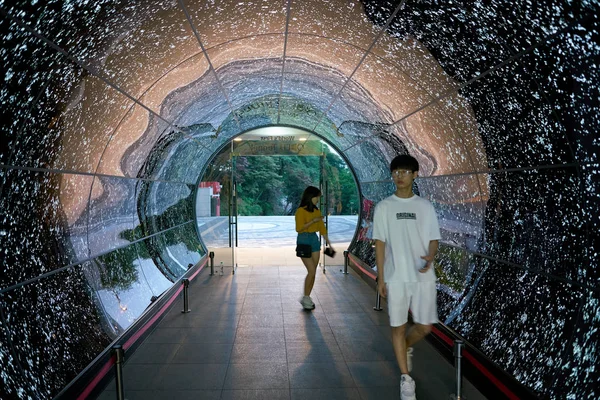 Seoul Corée Sud Circa Juin 2017 Namsan Seoul Tower Oled — Photo