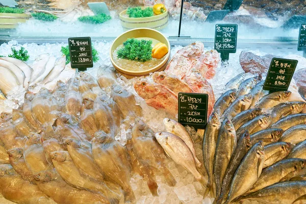 South Korea Busan Mayıs 2017 Balıklar Süpermarket Lotte Mağazada Busan — Stok fotoğraf