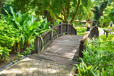 BANGKOK, THAILAND - CIRCA JUNE, 2015: a wooden bridge seen at tropical garden at Swissotel Nai Lert Park in Bangkok.