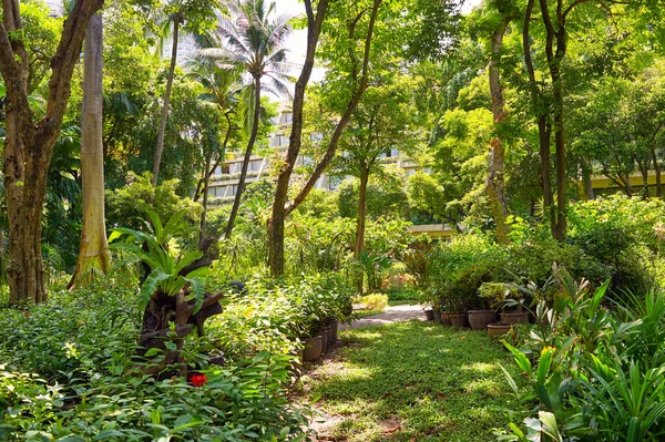 Bangkok Tailandia Circa Junio 2015 Jardín Tropical Swissotel Nai Lert — Foto de Stock