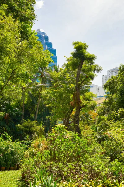泰国曼谷 约2015年6月 曼谷Swissotel Nai Lert公园的热带花园 — 图库照片
