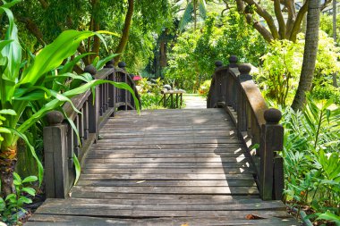 BANGKOK, THAILAND - CIRCA JUNE, 2015: a wooden bridge seen at tropical garden at Swissotel Nai Lert Park in Bangkok.