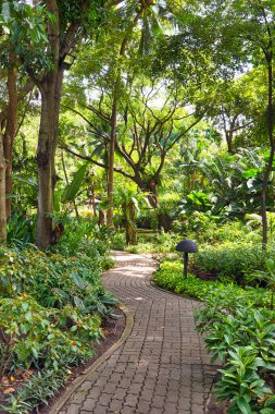 Bangkok, Tayland - Haziran 2015: Bangkok 'taki Swissotel Nai Lert Park' taki tropik bahçe.