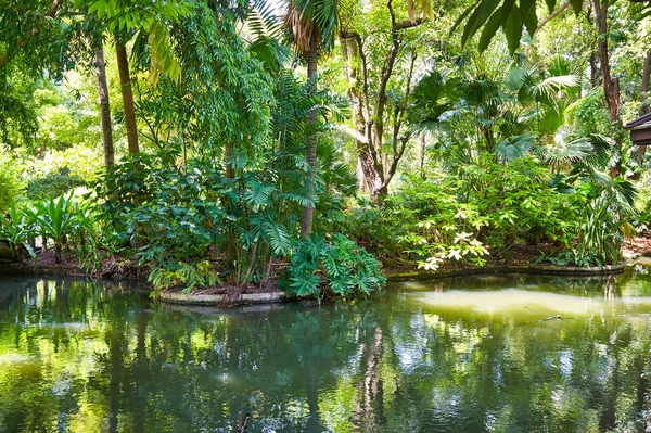 Bangkok Tailandia Circa Junio 2015 Jardín Tropical Swissotel Nai Lert — Foto de Stock