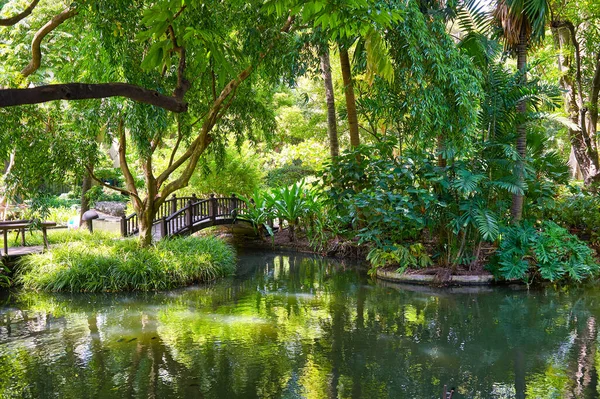 Bangkok Tailandia Circa Junio 2015 Jardín Tropical Swissotel Nai Lert — Foto de Stock