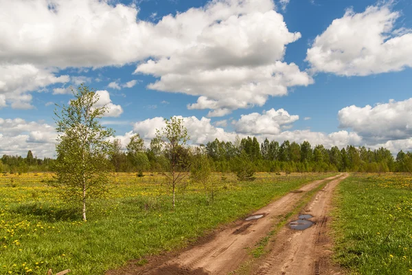 春の牧草地で未舗装の道路 — ストック写真