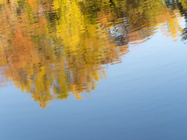 Réflexion abstraite des arbres d'automne — Photo