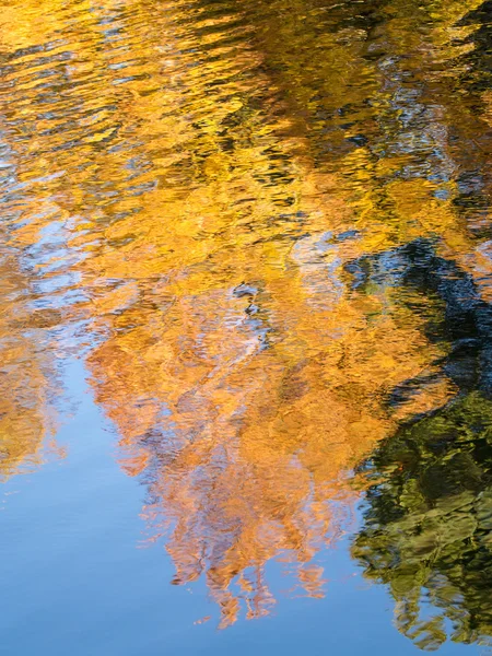 Feuilles d'automne dans l'eau — Photo