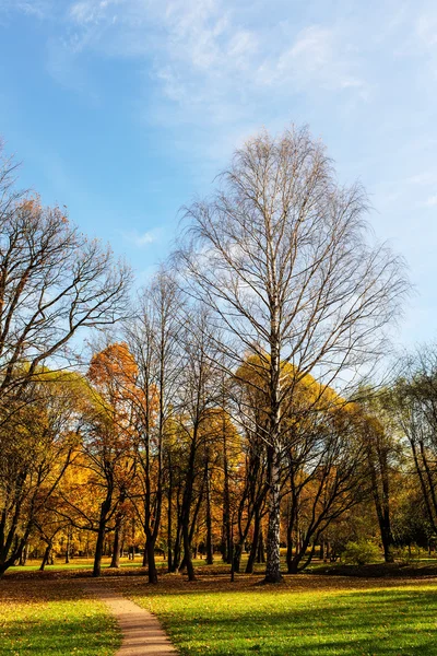 Landschap in het park — Stockfoto