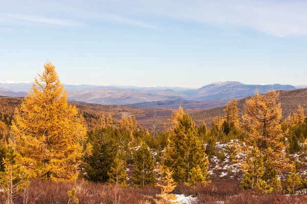 Sneeuw in de herfst bergen — Stockfoto