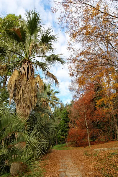 Paysage dans le parc d'automne — Photo