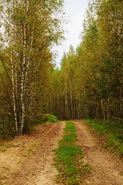 Estrada de terra no início do outono — Fotografia de Stock
