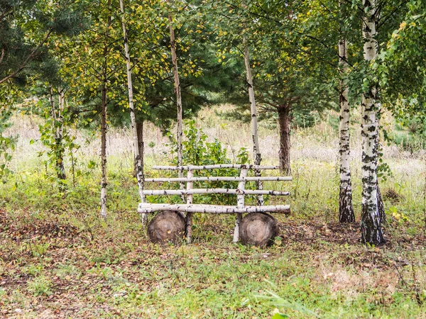 Banc en bois de bouleau — Photo