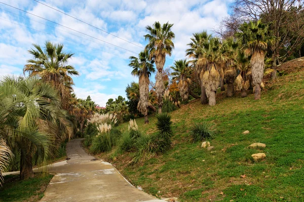 Fußweg im Herbstpark — Stockfoto