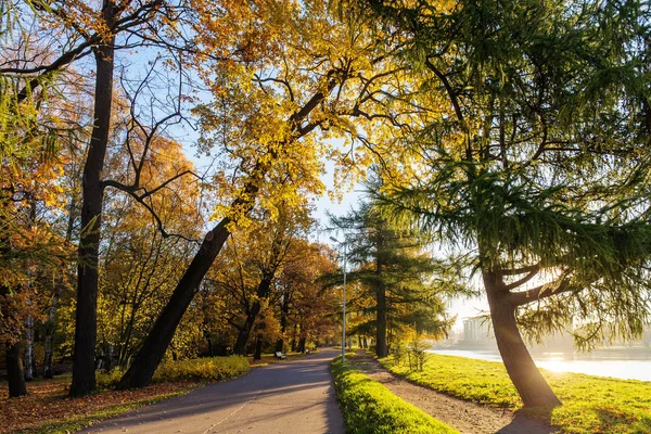 Sunny autumn park — Stock Photo, Image