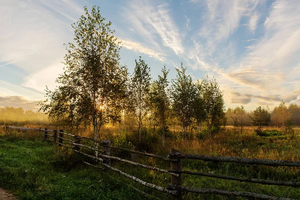 Recinzione in legno rurale — Foto Stock