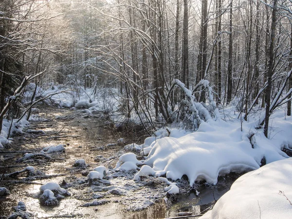 Kleiner Waldfluss — Stockfoto