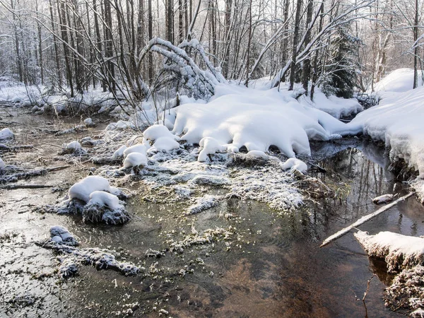 Confluence of two small rivers — Stock Photo, Image