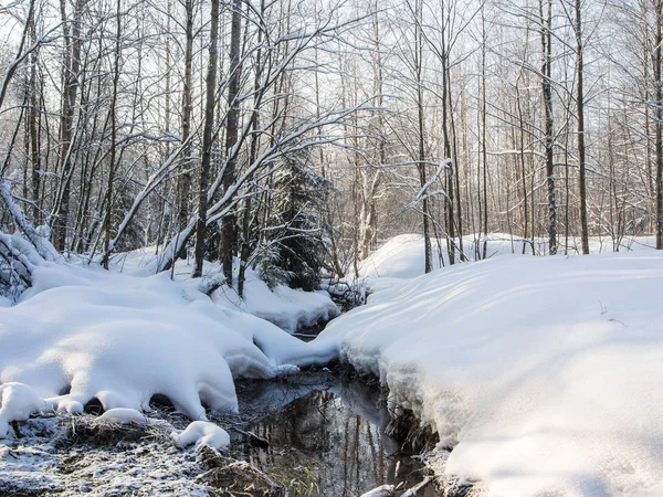 Kis folyó télen — Stock Fotó