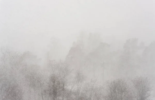 Veil of heavy snowfall — Stock Photo, Image