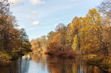 güneşli bir sonbahar manzarası