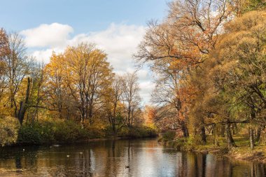 Nehirli sonbahar manzarası