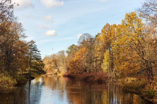 日当たりの良い秋の風景 — ストック写真