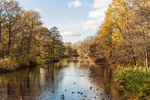 Río en otoño — Foto de Stock