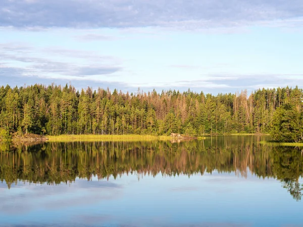 Lago florestal e reflexões — Fotografia de Stock