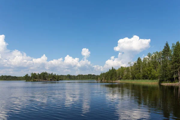 güneşli yaz peyzaj