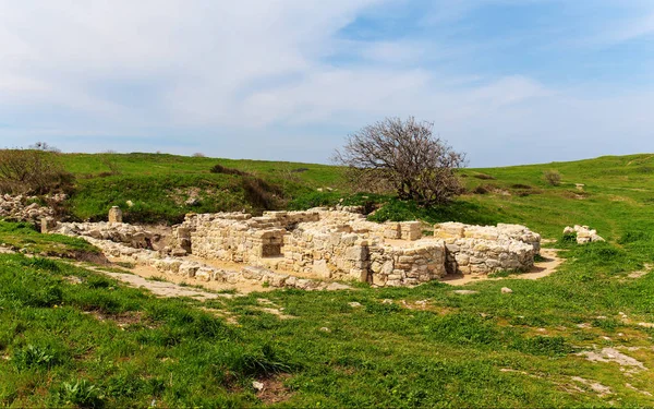 Spring and ruins — Stock Photo, Image