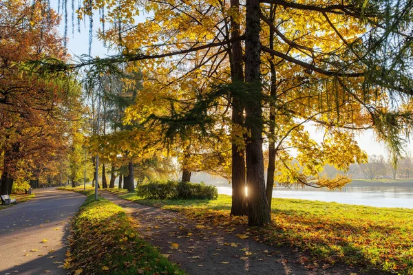 Park güneşli sonbahar — Stok fotoğraf