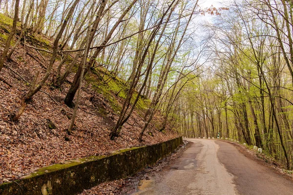 Baharda dağ yolu — Stok fotoğraf