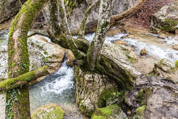 Paisagem com pequeno rio — Fotografia de Stock