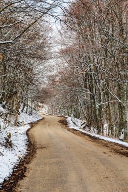 dolambaçlı bir dağ yolu