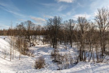 Donmuş Nehir ve Orman
