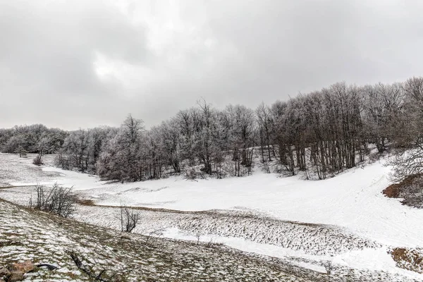 Dia frio da primavera — Fotografia de Stock