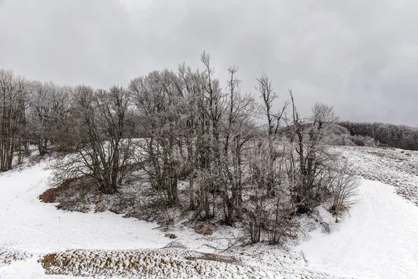 Frühjahrsfrost in den Bergen — Stockfoto