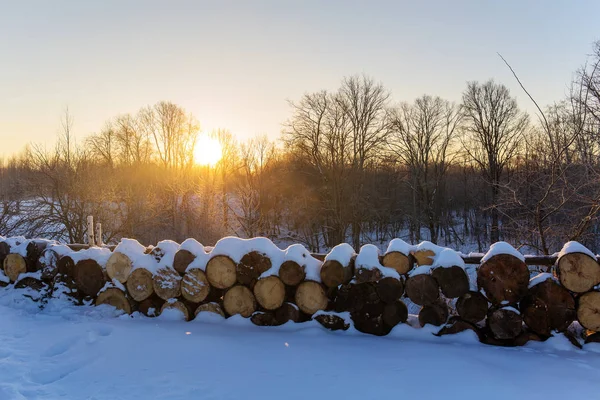 Firewood near the fence — Stock Photo, Image