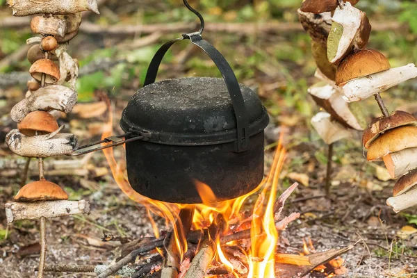 Pot op het vuur — Stockfoto