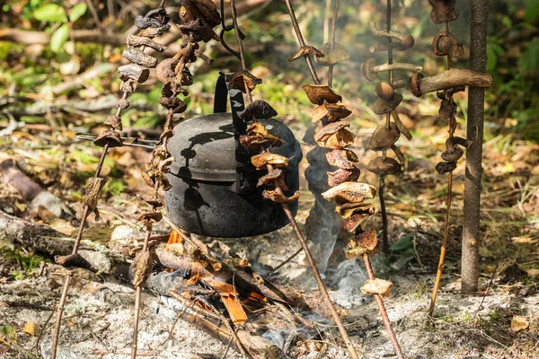 Hoguera turística en el bosque — Foto de Stock