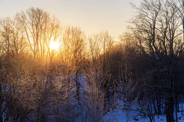 Cold winter morning — Stock Photo, Image