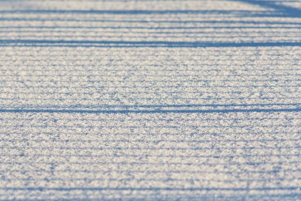 純粋な雪の上の影 — ストック写真