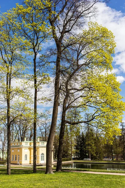 Pavillon dans le parc — Photo