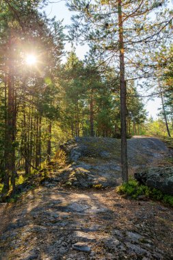 Orman kayalar ve güneş