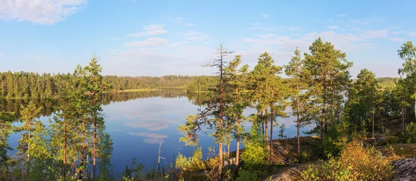 Sjön på en solig sommar morgon — Stockfoto