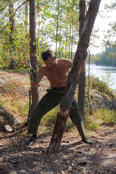 Mannen och log — Stockfoto