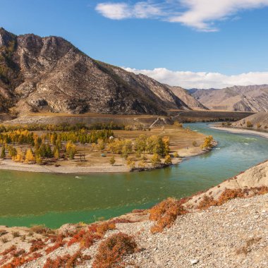 Dağ nehri olan bir manzara